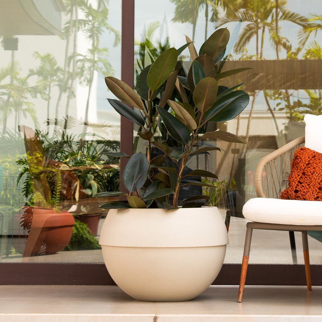 Planter Pots