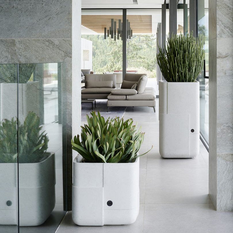 أواني الزراعة