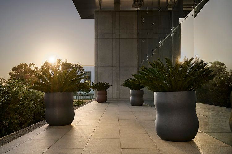 Planter Pots