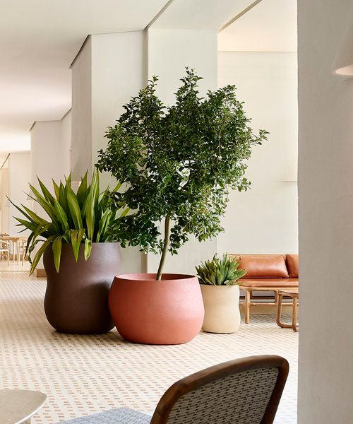 Planter Pots