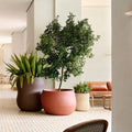 Planter Pots