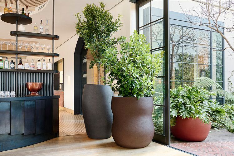 Planter Pots