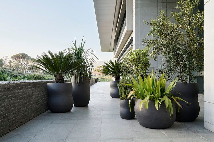 Planter Pots