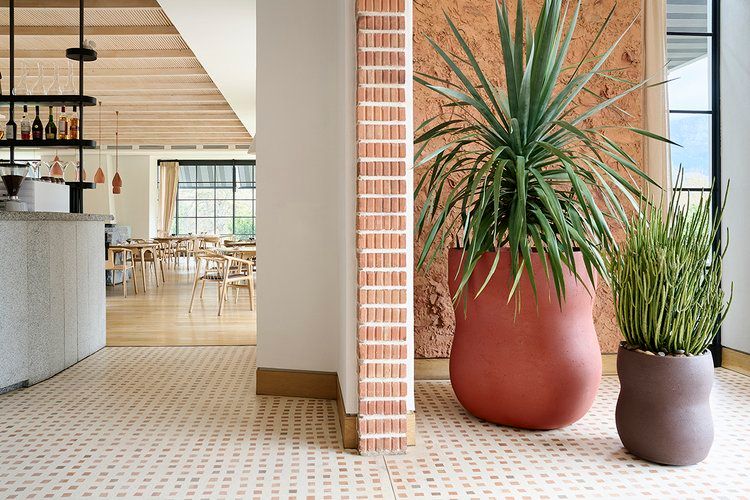 Planter Pots