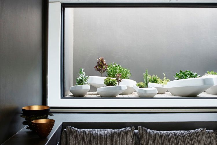 Planter Pots