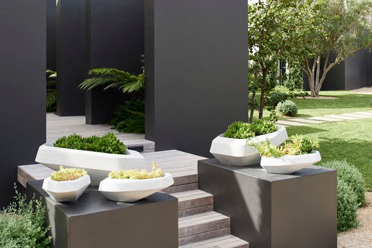 Planter Pots