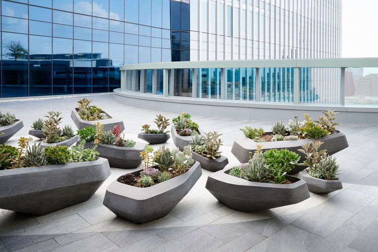 Planter Pots