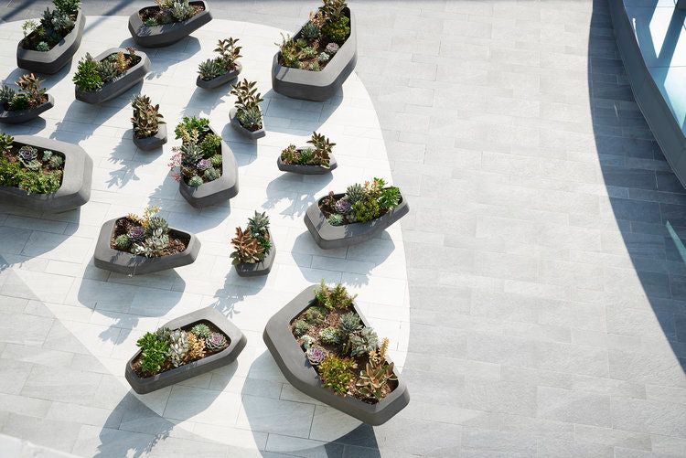 Planter Pots