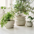 Planter Pots