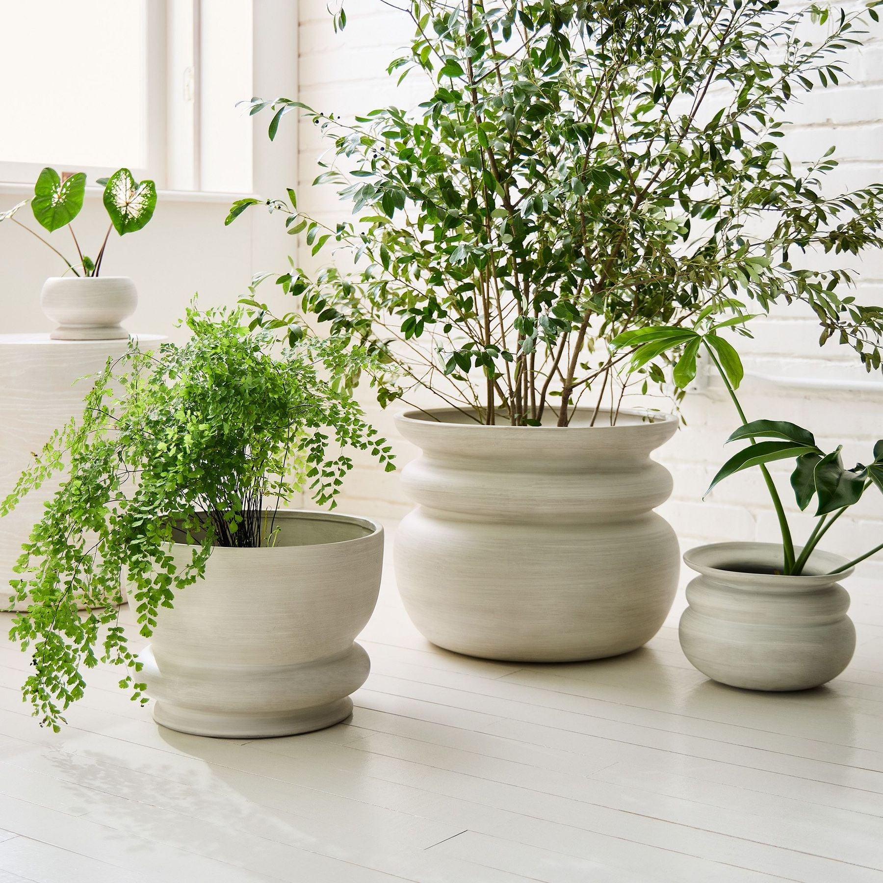 Planter Pots