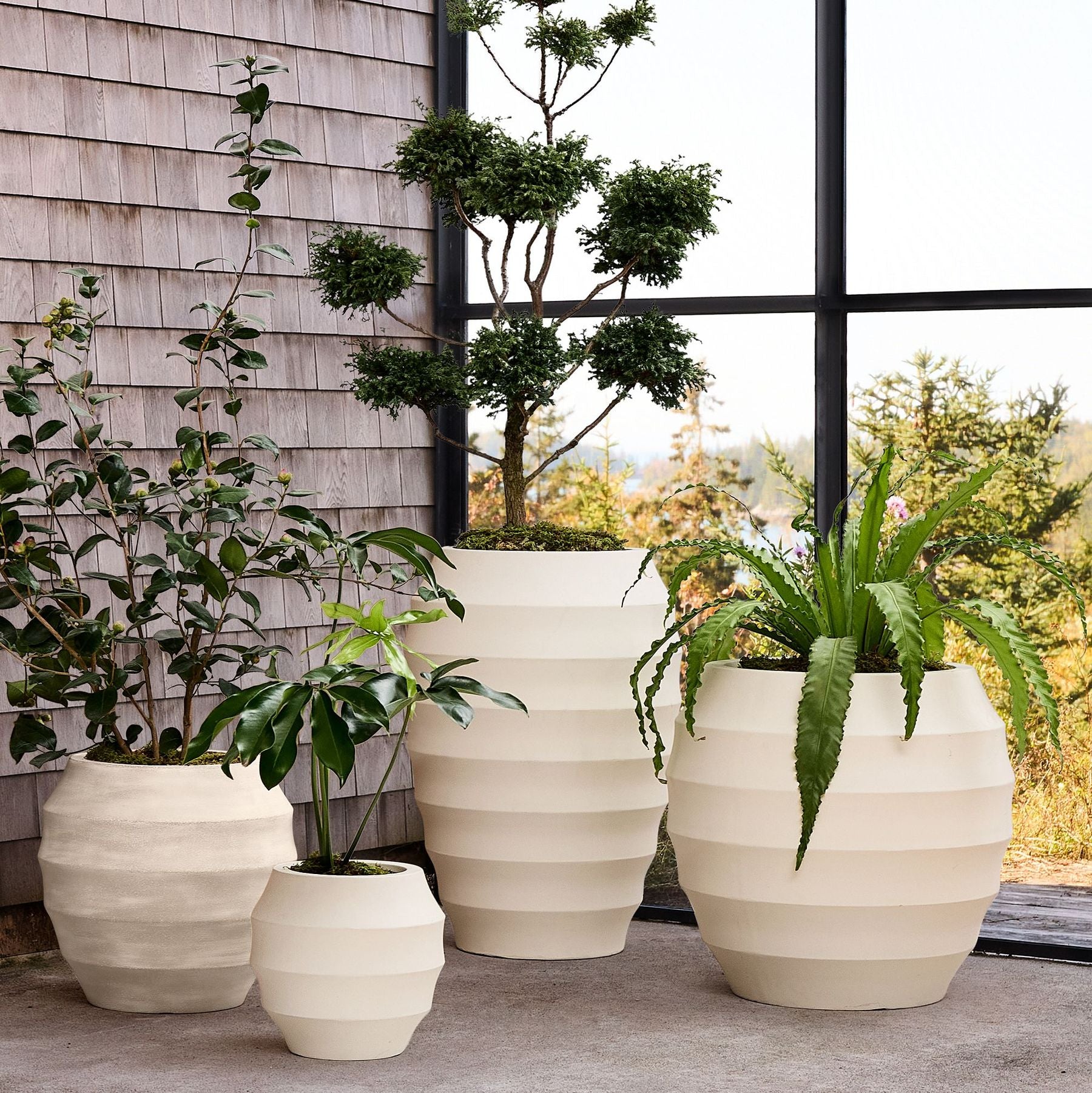 Planter Pots