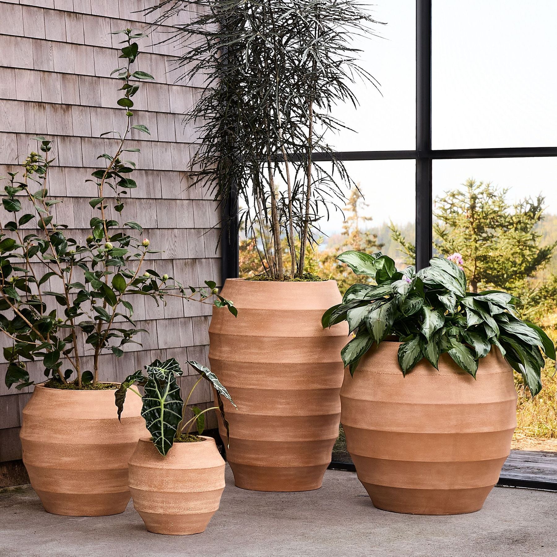 Planter Pots