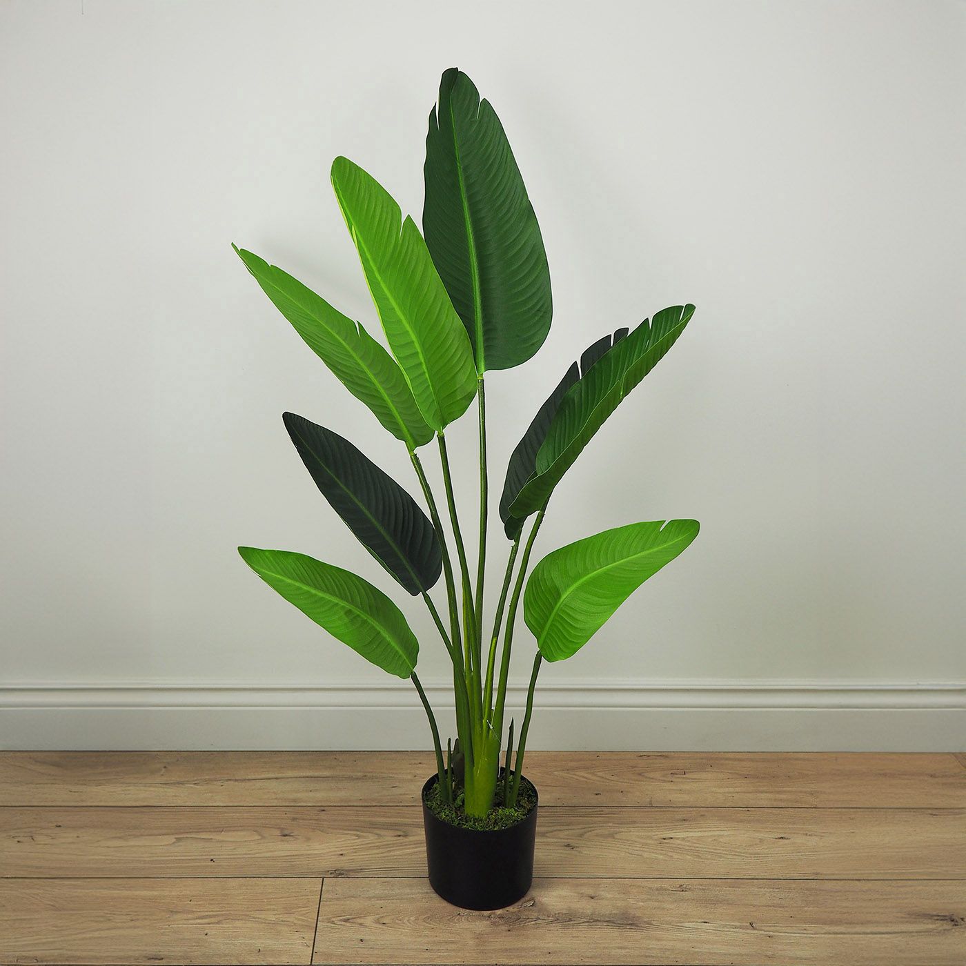 Artificial Plants