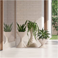 Planter Pots