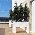 Planter Pots