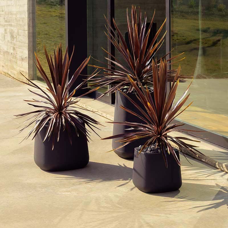 أواني الزراعة