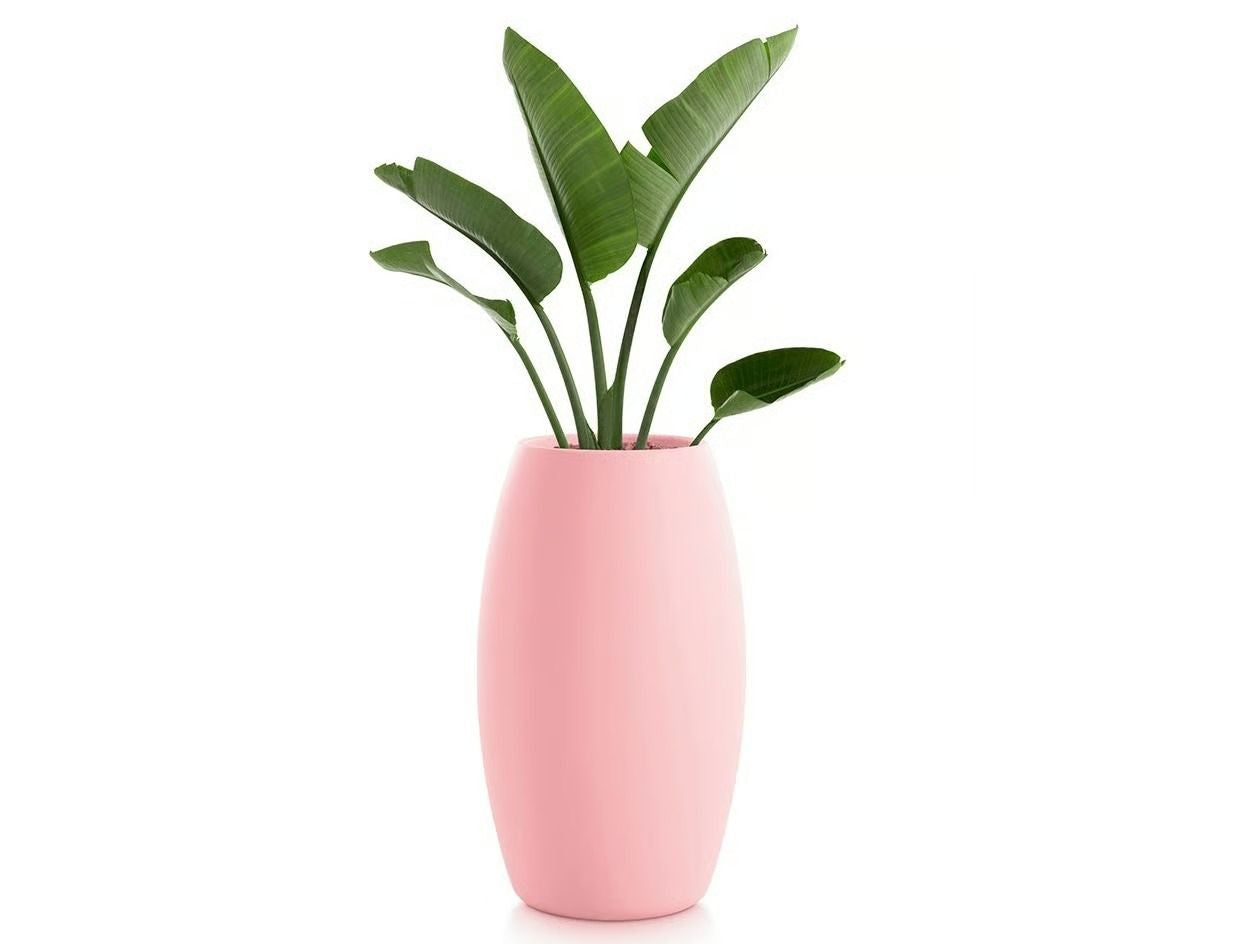 Planter Pots