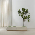 Planter Pots
