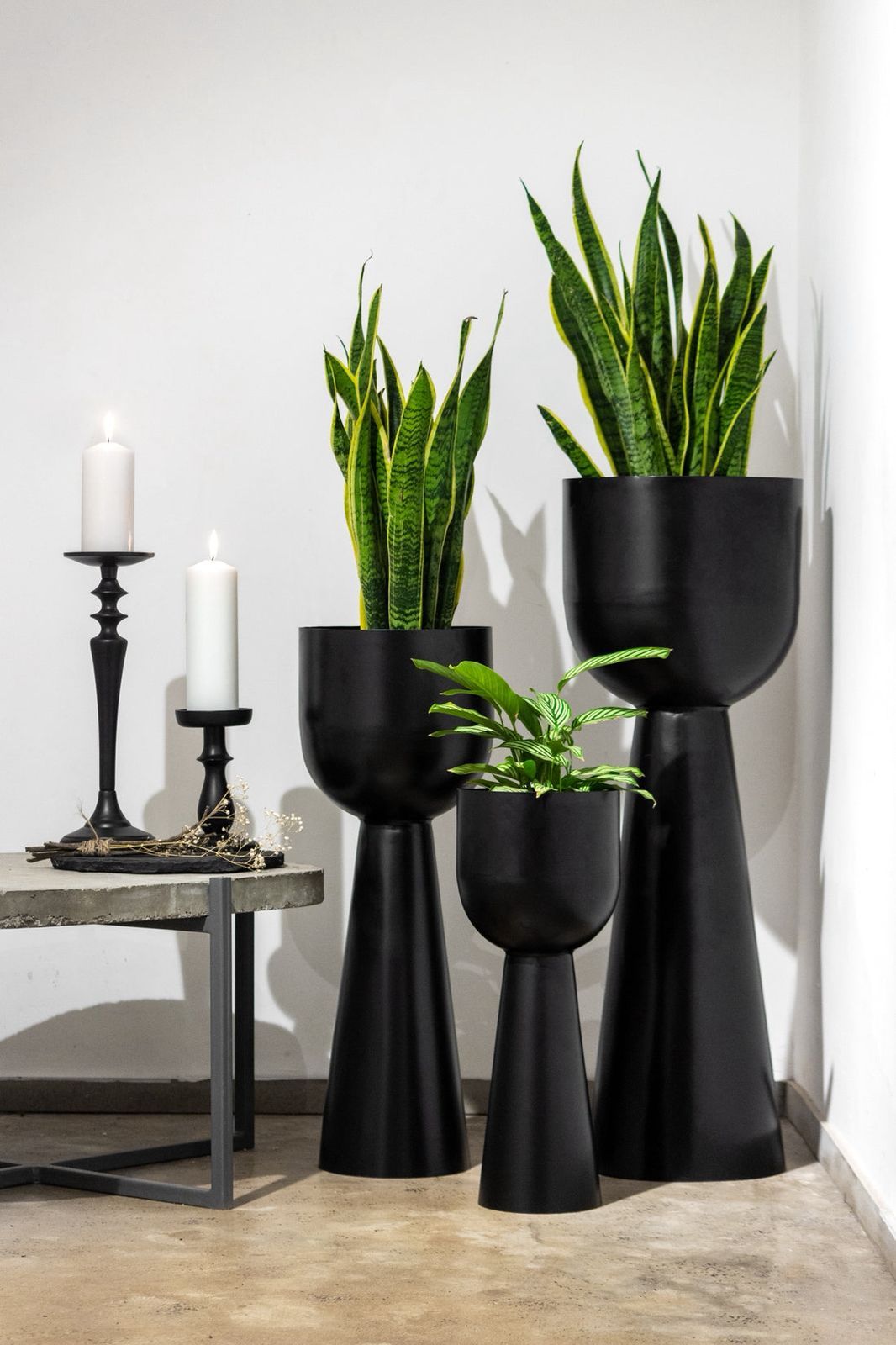 Planter Pots