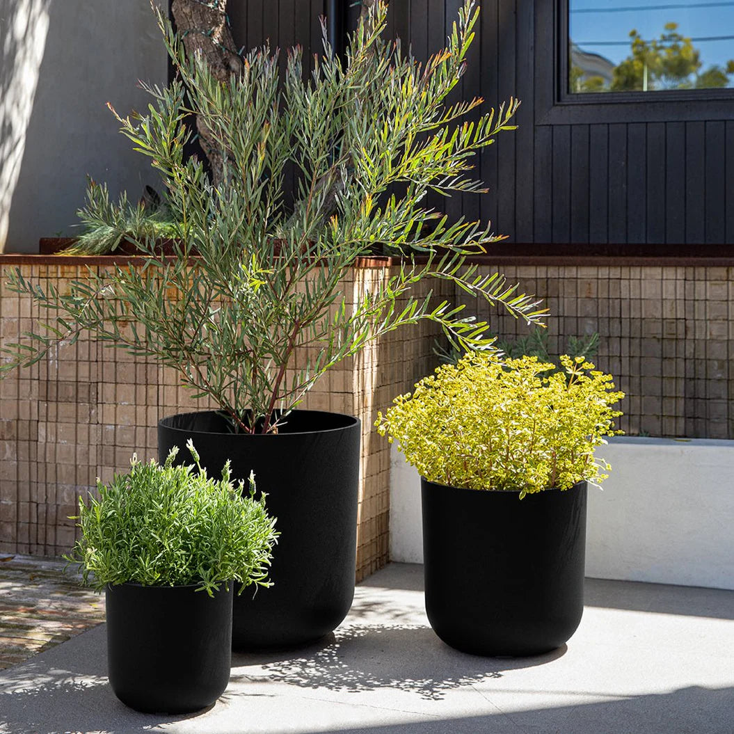 Planter Pots